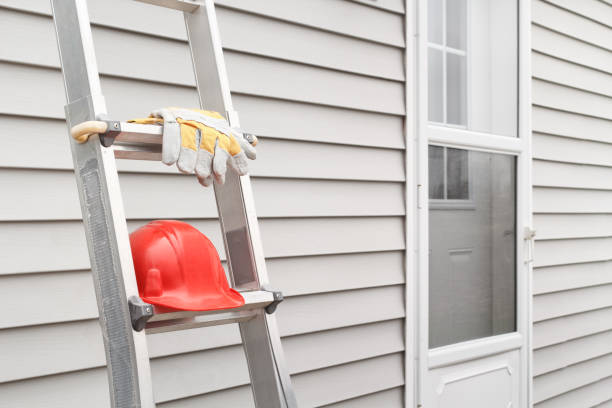 Best Custom Siding Design  in Carrollton, AL