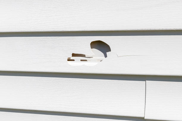 Best Residential Vinyl Siding Installation  in Carrollton, AL