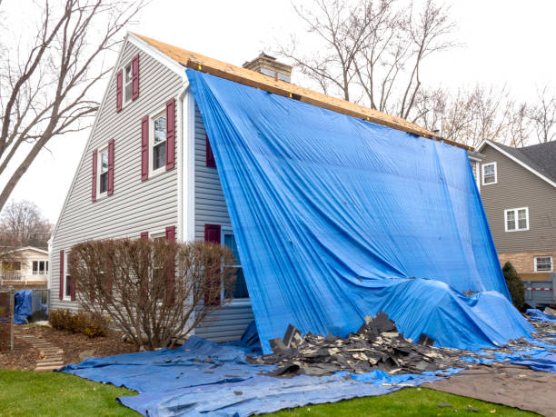 Affordable siding repair and maintenance services in Carrollton, AL