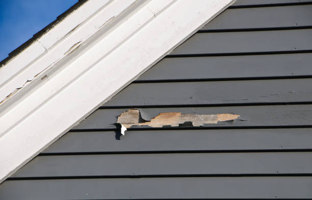 Best Insulated Siding Installation  in Carrollton, AL