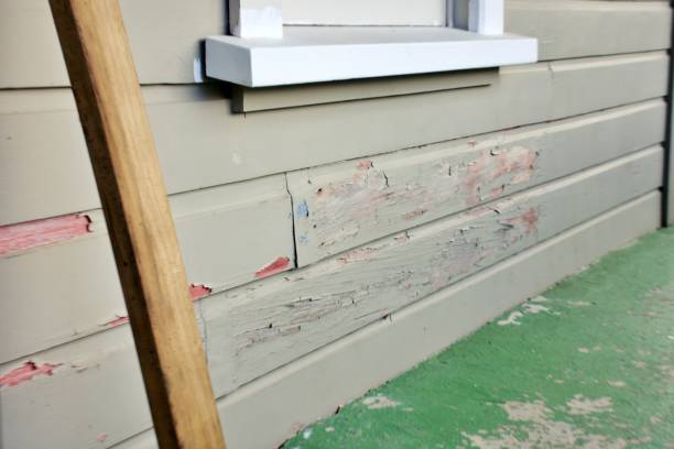 Best Siding Removal and Disposal  in Carrollton, AL